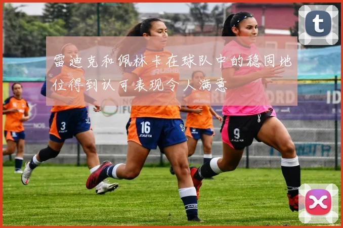 雷迪克和佩林卡在球队中的稳固地位得到认可表现令人满意