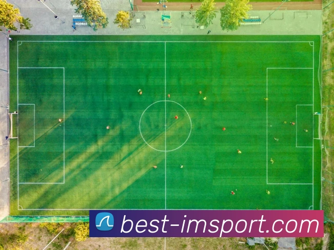 App Interface Preview