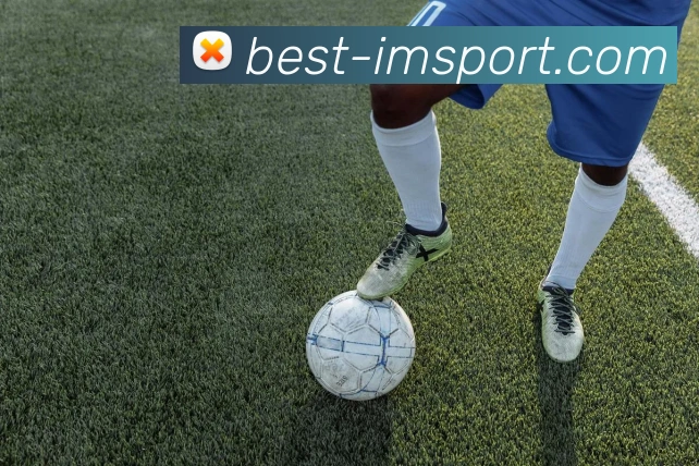 IM体育APP 封面图